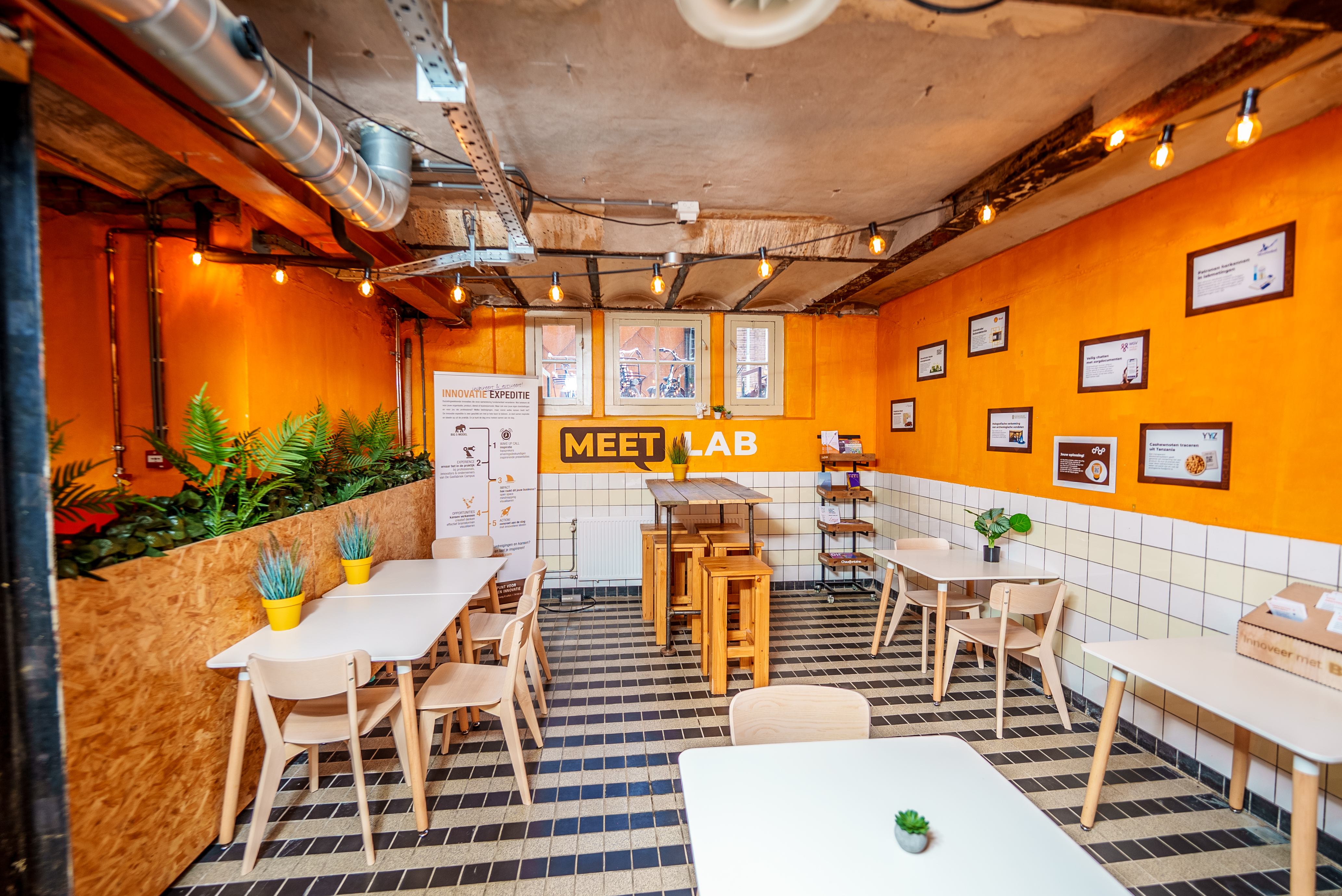 Webdesign & Development