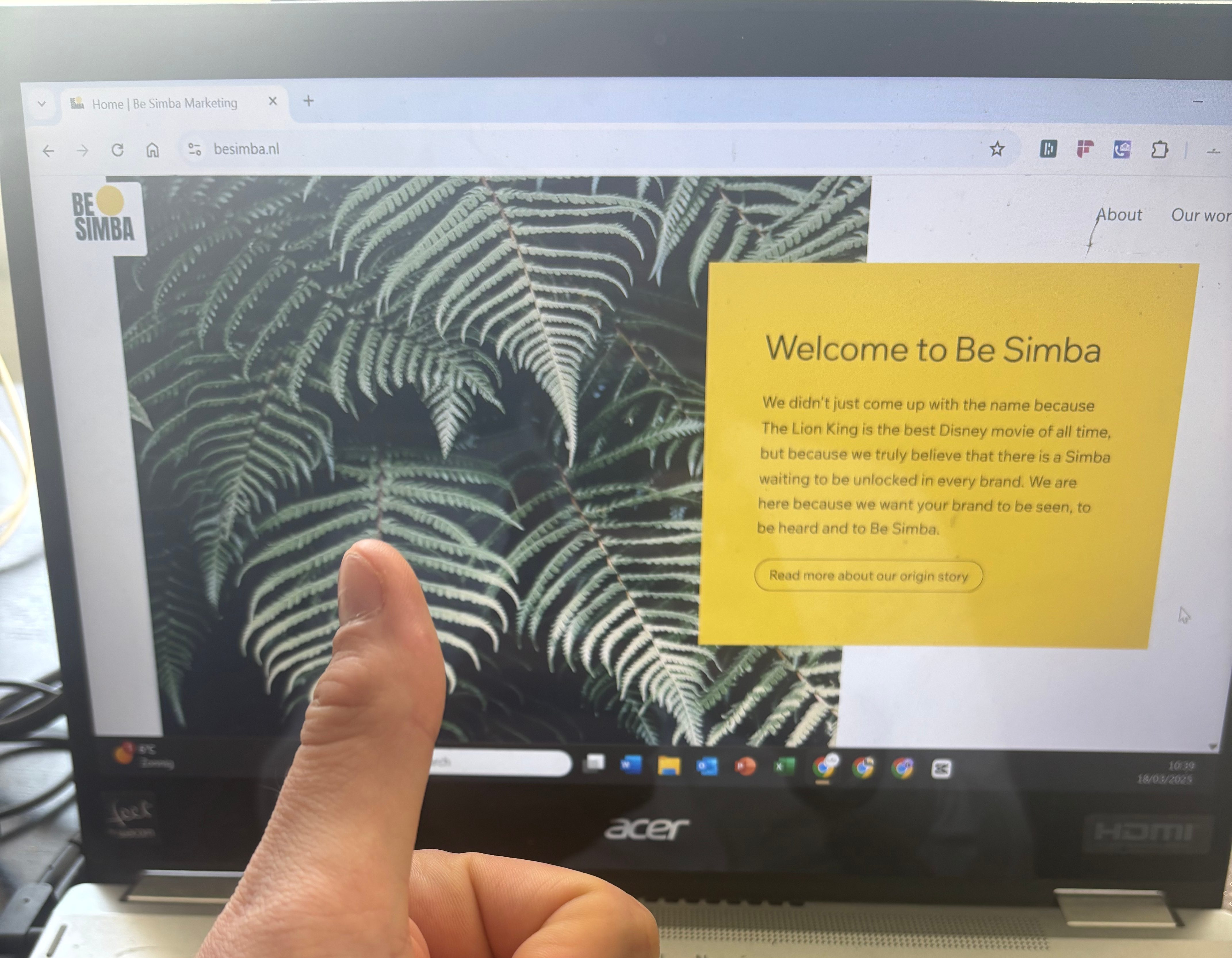 De geboorte van Be Simba